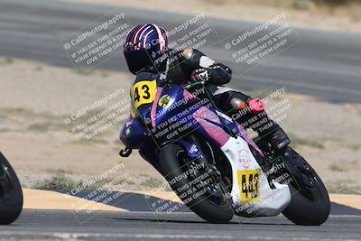 media/Oct-04-2025-CVMA (Sat) [[408bcdd6e4]]/Race 5-Amateur Formula Middleweight/